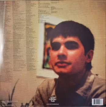 LP The Verlaines: Some Disenchanted Evening CLR | LTD