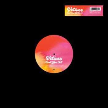 LP Vetiver: Can't You Tell (Remixes) LTD