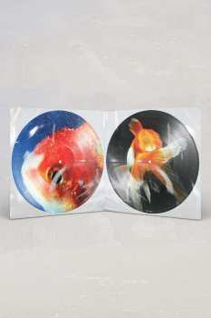 2LP Vince Staples: Big Fish Theory LTD | PIC