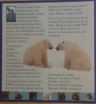 CD Violaine Corradi: Bears