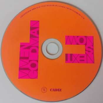 CD Vivien Goldman: Next Is Now