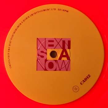 LP Vivien Goldman: Next Is Now LTD | CLR