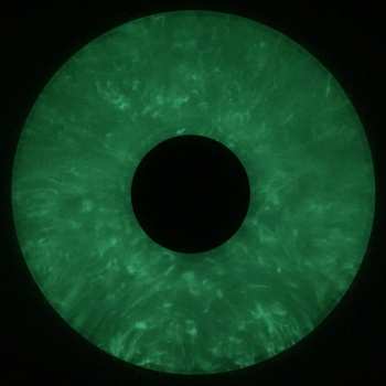 LP VOLA: Witness LTD | CLR