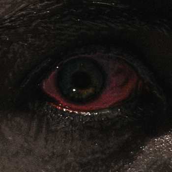 LP Voreus: The Proclamation