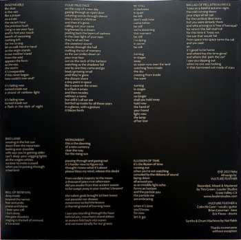 LP Vulture Feather: Liminal Fields LTD | CLR