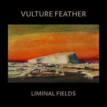 LP Vulture Feather: Liminal Fields LTD | CLR