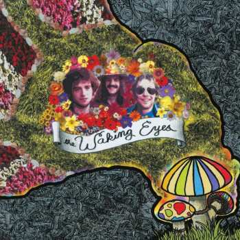 LP Waking Eyes: Combing The Cloud