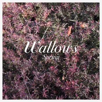 Album Wallows: Spring