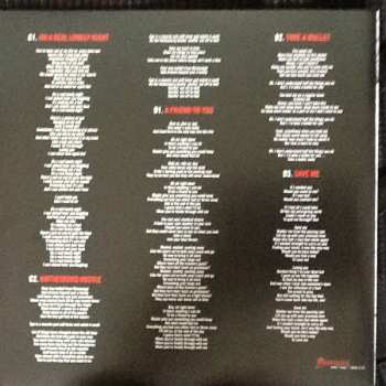 LP Warren Haynes: Man In Motion