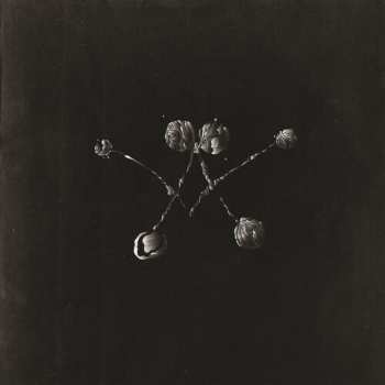 CD Waterstrider: Nowhere Now