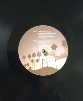 LP We Are Scientists: Lobes