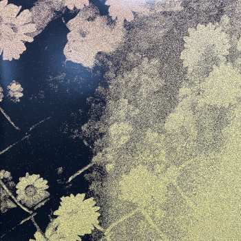 LP Weak: Strangers At Home