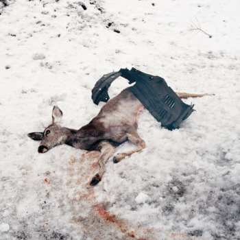 Album White Ward: Debemur Morti