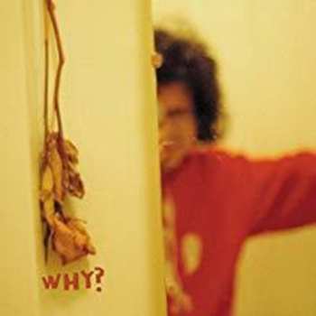 SP Why?: Early Whitney
