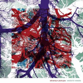 Album Silversun Pickups: Widow's Weeds