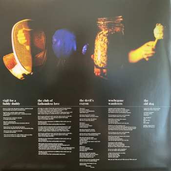 LP Wild Beasts: Limbo, Panto