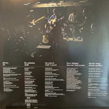 LP Wild Beasts: Limbo, Panto