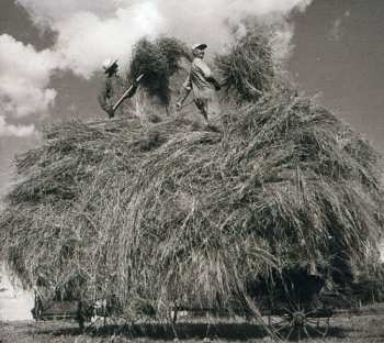 CD William Elliott Whitmore: Field Songs