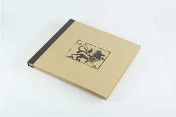 4LP/Zestaw pudełkowy Wingless Angels: Wingless Angels (Volumes I & II) DLX | LTD | CLR