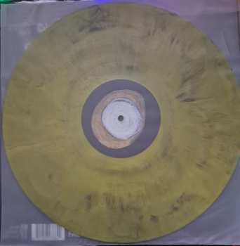 LP Wintersleep: Welcome To The Night Sky CLR | LTD