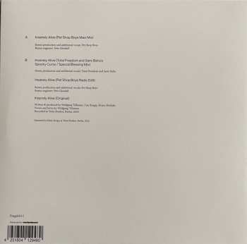 LP Wolfgang Tillmans: Insanely Alive Remixes