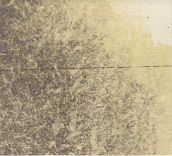 CD Women: Public Strain