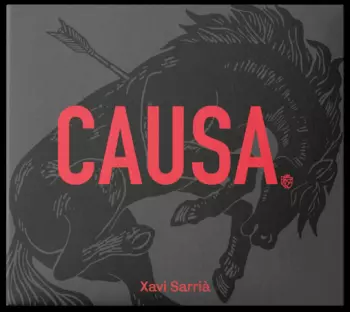 Xavi Sarrià: Causa