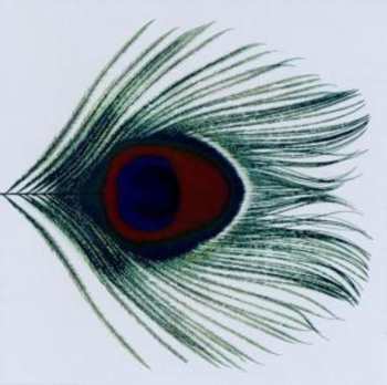 CD XTC: Apple Venus Volume 1