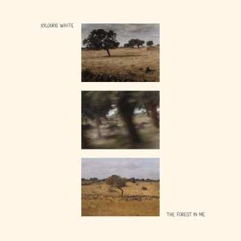 CD Xylouris White: The Forest In Me
