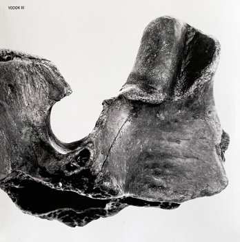 3CD/Zestaw pudełkowy Yodok III: YODOK III LTD | DLX