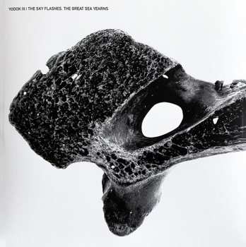 3CD/Zestaw pudełkowy Yodok III: YODOK III LTD | DLX