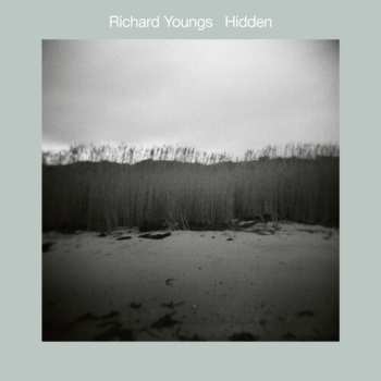 Album Youngs,richard: Hidden