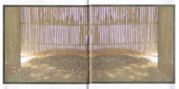 CD Yves Coignet: Buddhattitude - Freedom