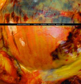 Album Yves De Mey: Metrics