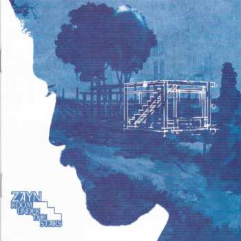 CD ZAYN: Room Under The Stairs LTD