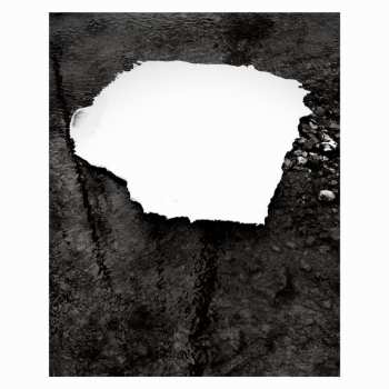 Album Zelienople: Everything Is Simple